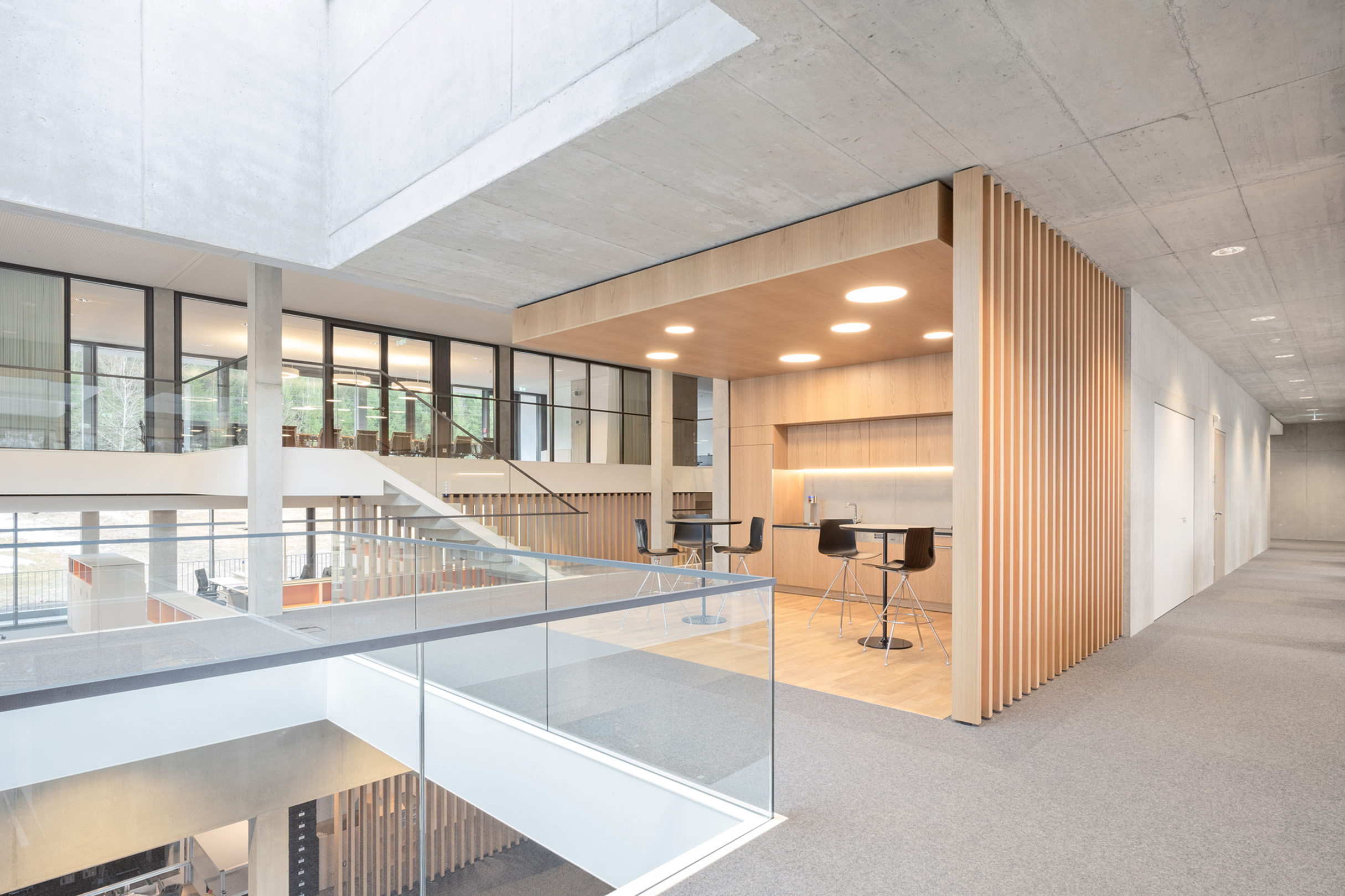 Moderne Büroumgebung mit Holz- und Betonelementen, hellen Sitzbereichen und großen Fenstern für natürliche Beleuchtung.